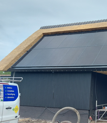 Voorbeeld zonnepanelen rieten dak